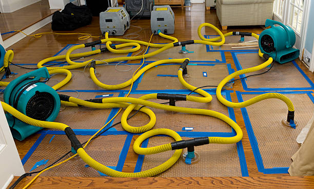 Professional Crawl Space Water Removal technician working in Andrews, NC